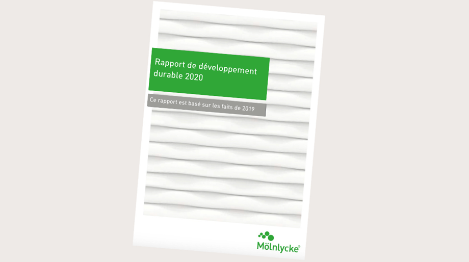 Notre rapport de développement durable 2020